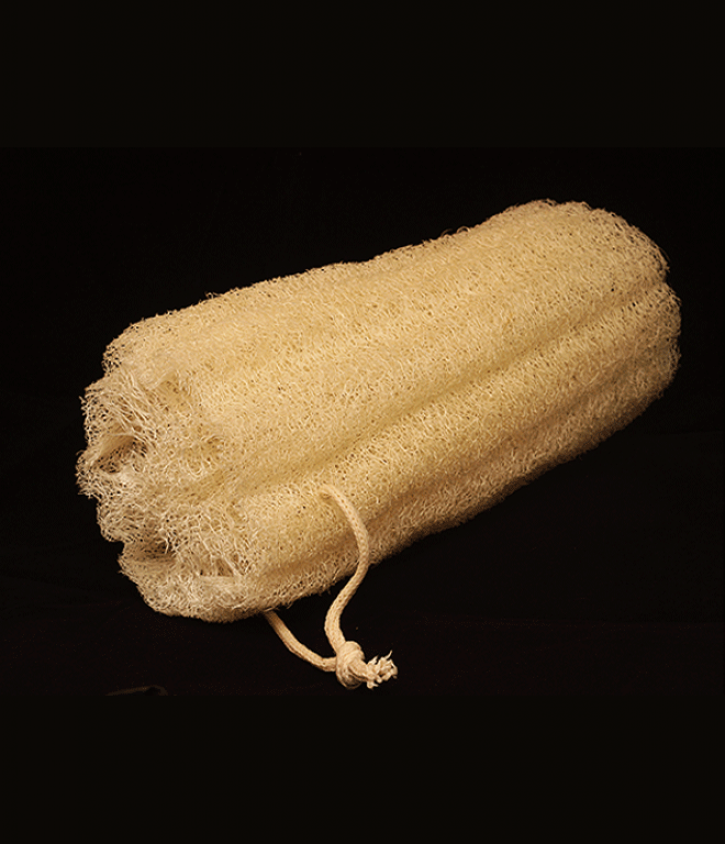 F125: Whole cylindrical raw loofah